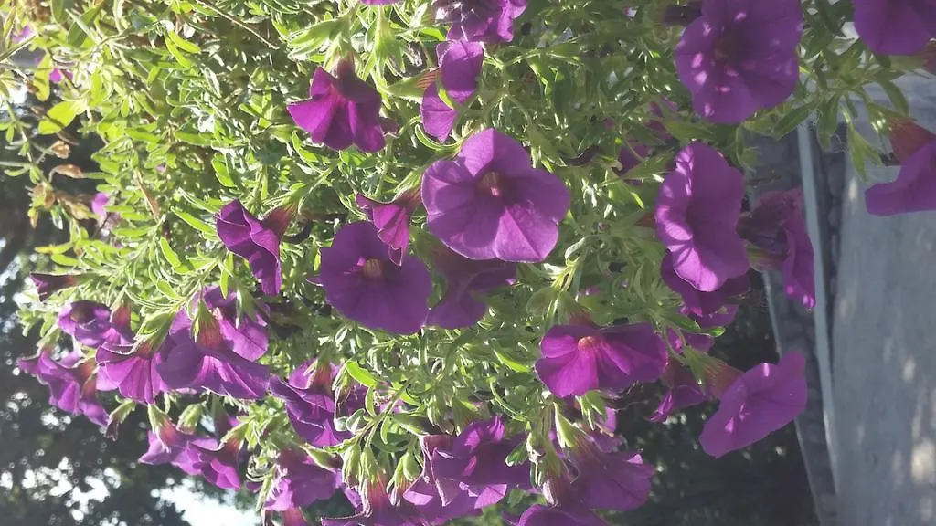 Apartments Green Garden Opatija